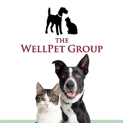 Vet Clinic in Rockbridge & Lexington, VA | The WellPet Group, P.C.